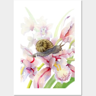 Orchid Snail Posters and Art